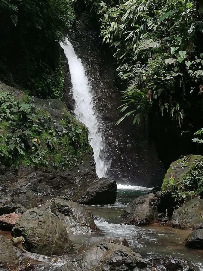 Posada El Acuario Bahia Solano Buitenkant foto