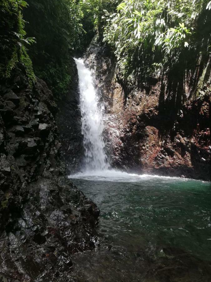 Posada El Acuario Bahia Solano Buitenkant foto