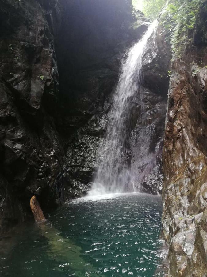 Posada El Acuario Bahia Solano Buitenkant foto